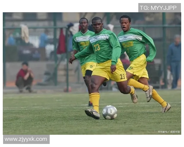 nl足球的魅力与发展探索如何在全球舞台上崭露头角