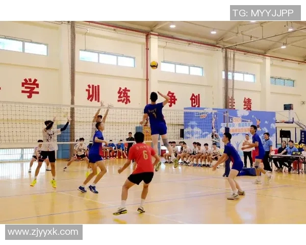 上海排球队的阵地战解析与深度剖析排球战术的成功之道