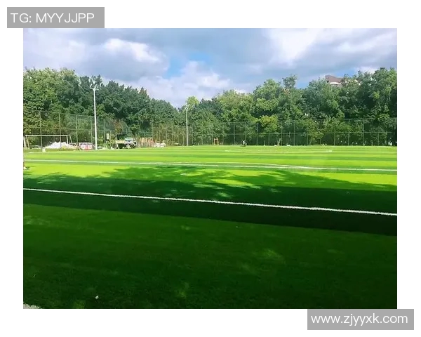 世界杯足球场地面积对比赛质量和观众体验的影响分析