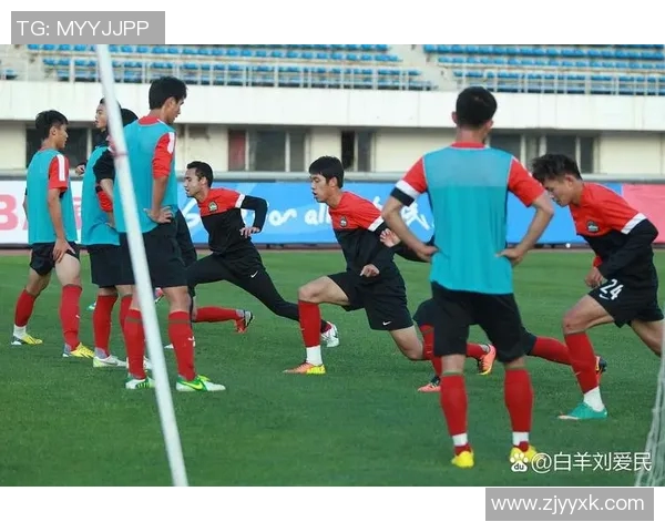 中国足球的崛起与挑战:从青训体系到职业联赛的全面解析与展望 中国足球的崛起与挑战:从青训体系到职业联赛的全面解析与展望