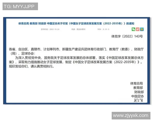 中国足球调查：深度解析现状与未来发展路径的全面研究与思考