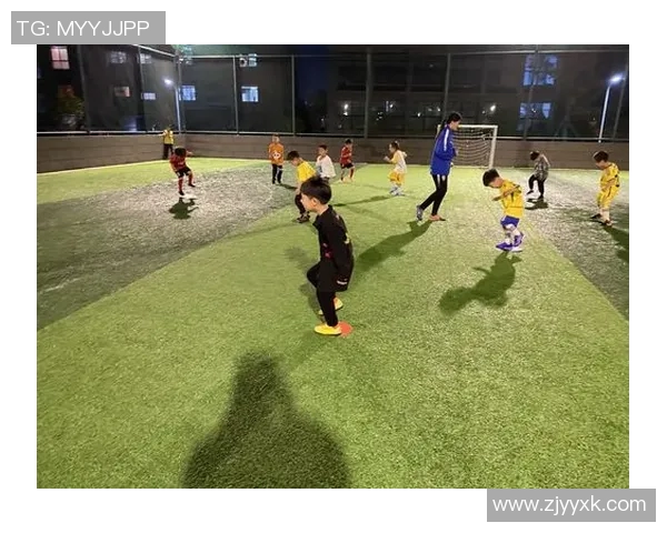 丹顶鹤足球：在绿茵场上展翅翱翔的优雅与激情之舞